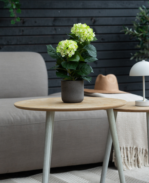 Die Kunstpflanze Hydrangea Green UV 35 cm steht auf einem Holztisch vor einem grauen Sofa, begleitet von einem beigen Hut und einer weißen Lampe, mit einer dunklen Holzwand im Hintergrund.