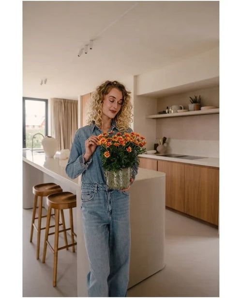 Eine Frau mit lockigen blonden Haaren, die ein Jeanshemd und Jeans trägt, steht in einer modernen Küche und hält eine künstliche Gänseblümchen-UV-Pflanze von 31 cm mit leuchtend orangefarbenen Blüten. Neben ihr stehen zwei Holzhocker auf der Kücheninsel.