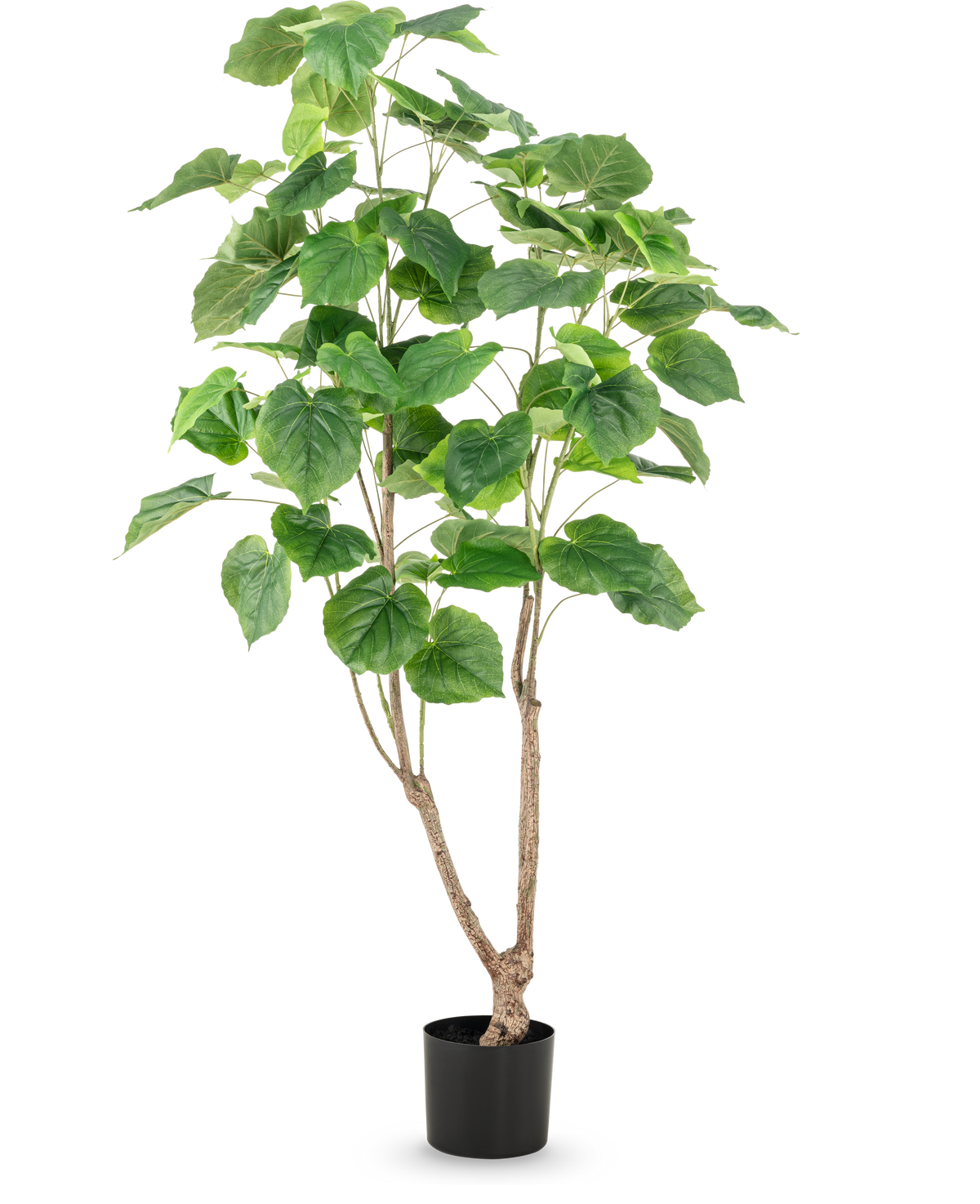 Die Kunstpflanze Ficus 150 cm hat mehrere schlanke braune Stängel und große, breite grüne Blätter, präsentiert in einem hohen Topf vor einem schlichten weißen Hintergrund.