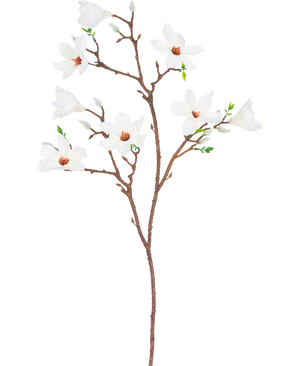 Der künstliche Magnolienzweig mit kleinen Blüten, 89 cm, weiß, hat einen einzelnen braunen Zweig mit mehreren Ablegern, mit mehreren offenen weißen Blüten mit einem hellrosa Herzen und kleinen grünen Blättern vor einem schlichten weißen Hintergrund.