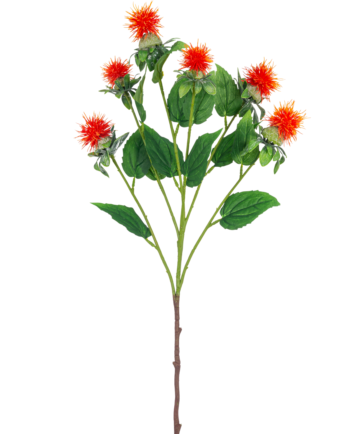 Die künstliche Blumendistel 79 cm orange hat einen einzelnen Stiel mit mehreren Zweigen, jeder mit zarten orangeroten und gelben Blüten mit grünen Blättern vor einem weißen Hintergrund.
