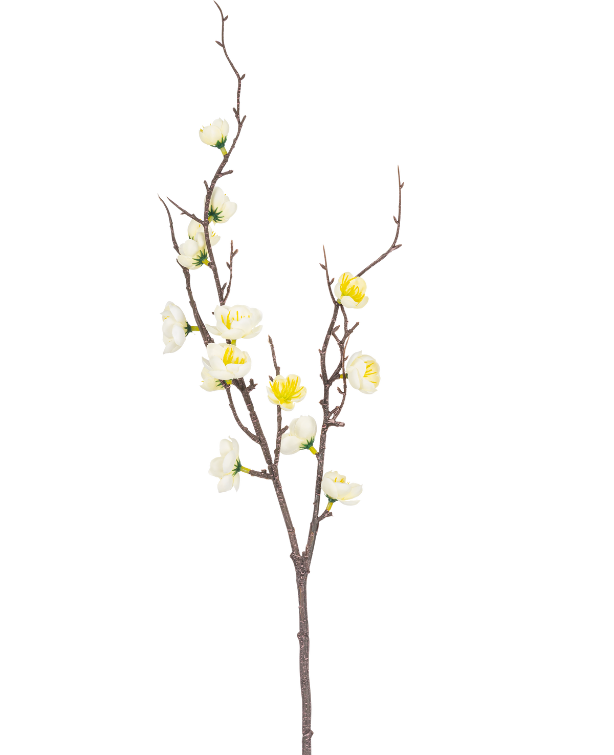 Der künstliche Zweig Prunus 78 cm weiß hat einen einzelnen braunen Zweig mit mehreren Zweigen, verziert mit kleinen weißen und gelben Blüten, vor einem schlichten weißen Hintergrund.