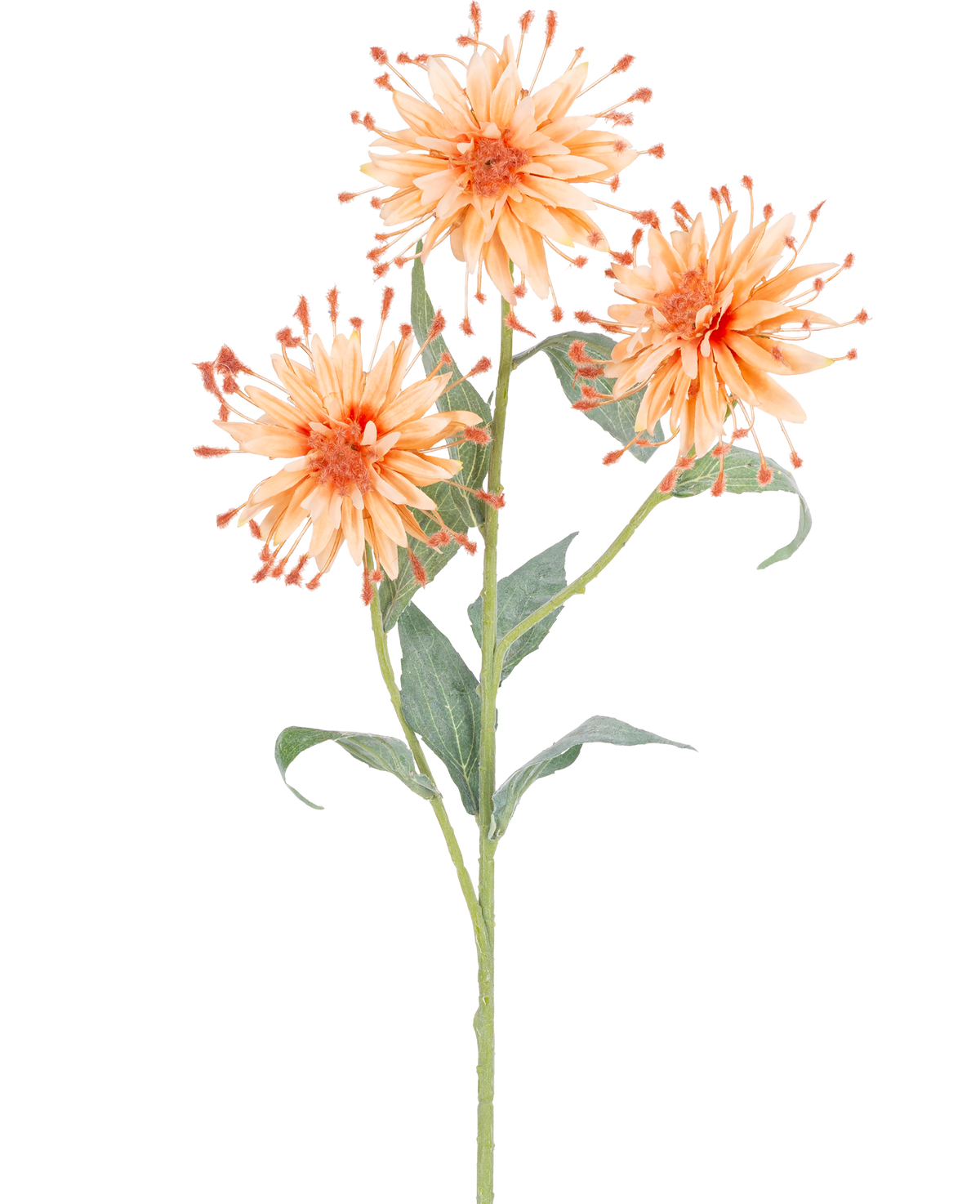 Eine künstliche Blume Scabiosa Japonica 70 cm Pfirsichstiel mit drei orangefarbenen Kunstblumen, stacheligen Blütenblättern und grünen Blättern, abgebildet vor einem weißen Hintergrund.