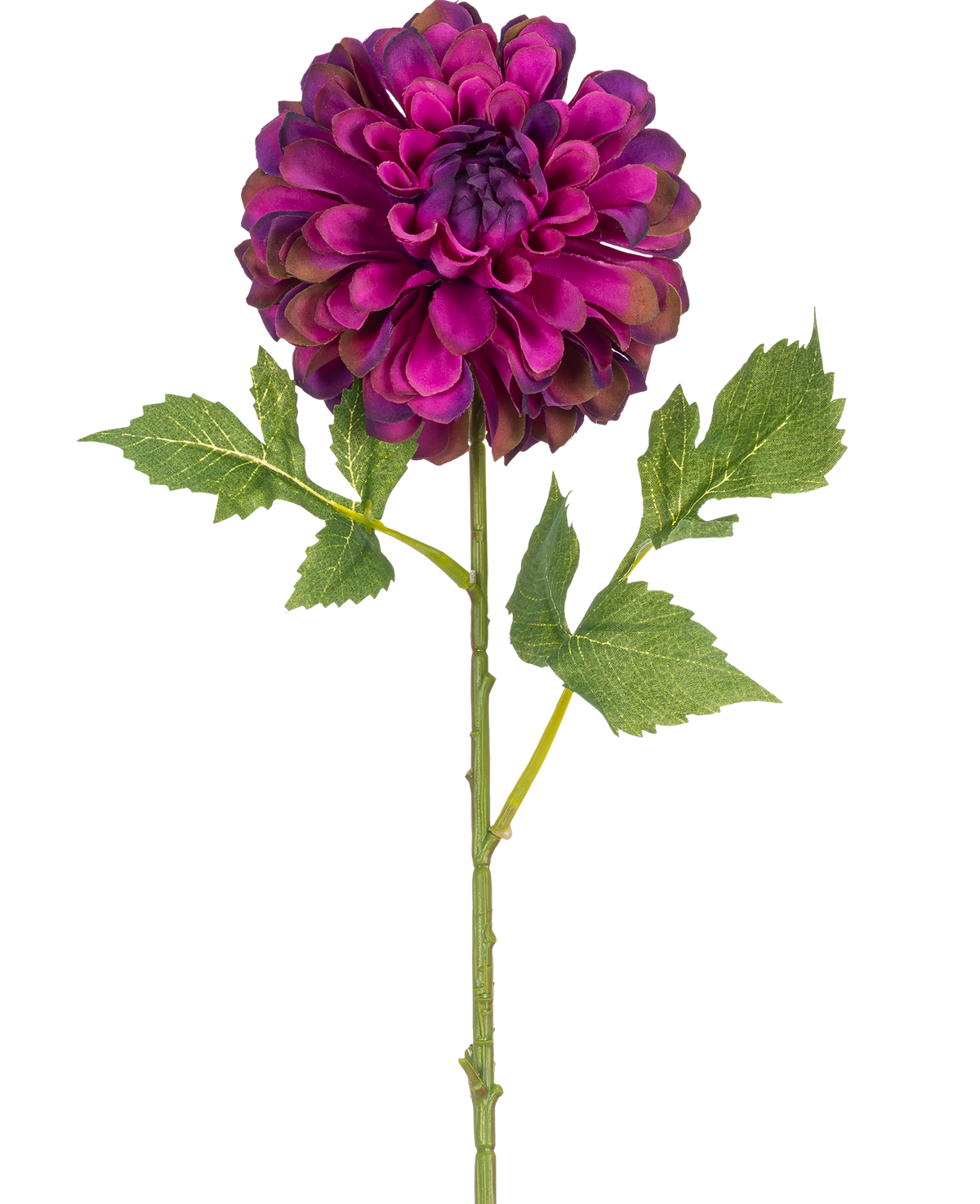 Eine einzelne künstliche Blumen-Dahlie, 50 cm, lila mit leuchtend violetten, geschichteten Blütenblättern und grünen Blättern, isoliert auf weißem Hintergrund.