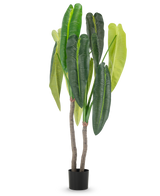 Die Kunstpflanze Anthurium 180 cm hat zwei braune Stiele und große, längliche grüne Blätter in verschiedenen Farbtönen, in einem kleinen schwarzen Topf vor weißem Hintergrund.