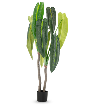 Die Kunstpflanze Anthurium 180 cm hat zwei braune Stiele und große, längliche grüne Blätter in verschiedenen Farbtönen, in einem kleinen schwarzen Topf vor weißem Hintergrund.