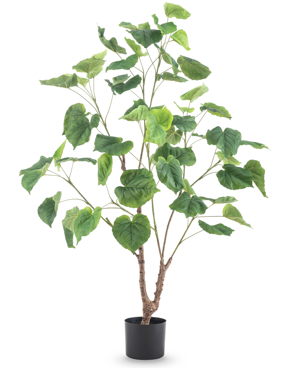 Die Kunstpflanze Ficus 120 cm ist eine hohe Kunstpflanze mit mehreren schlanken Zweigen und großen, herzförmigen grünen Blättern, in einem schlichten schwarzen Topf vor weißem Hintergrund.