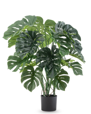 Die Kunstpflanze Monstera 90 cm hat große, gespaltene grüne Blätter und wird in einem schwarzen Topf vor einem schlichten weißen Hintergrund geliefert.
