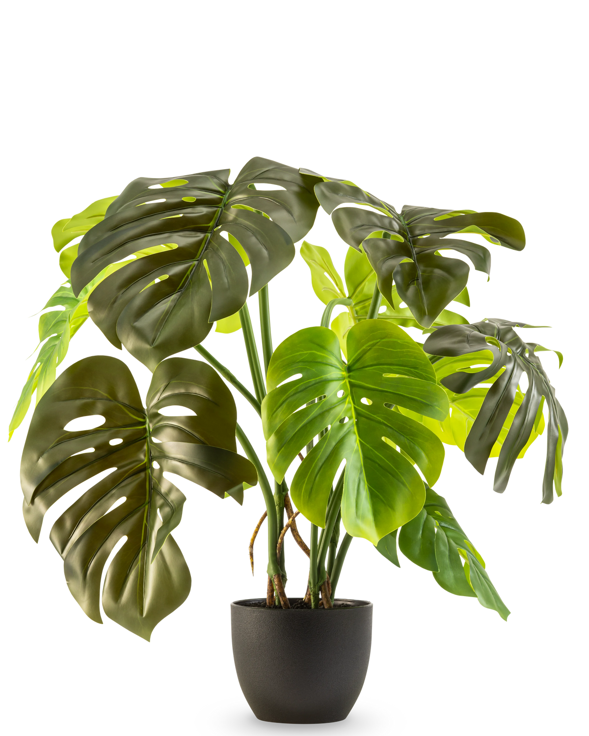 Die künstliche Monstera 50 cm hat große, glänzend grüne Blätter mit natürlichen Rissen und Löchern, präsentiert in einem Topf vor einem schlichten weißen Hintergrund.