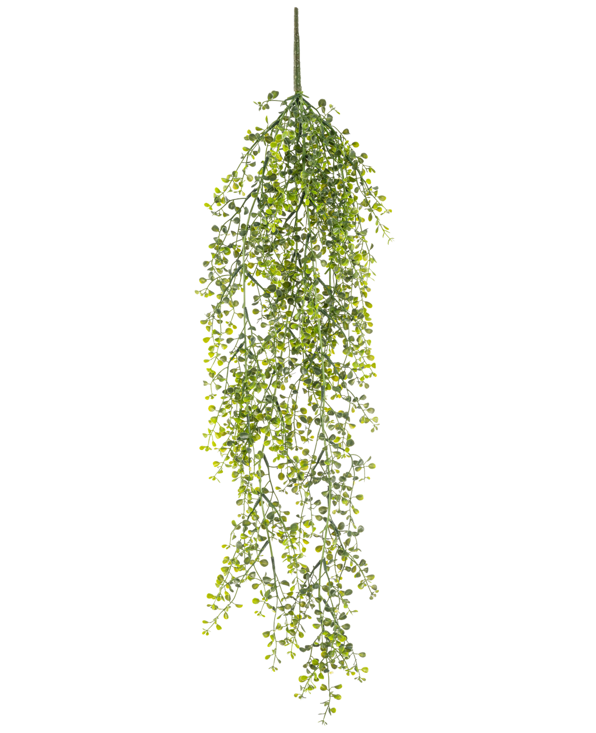 Die künstliche Hängepflanze Buxus 80 cm ist eine künstliche Hängepflanze mit langen, gewundenen grünen Ranken und kleinen runden Blättern vor weißem Hintergrund.