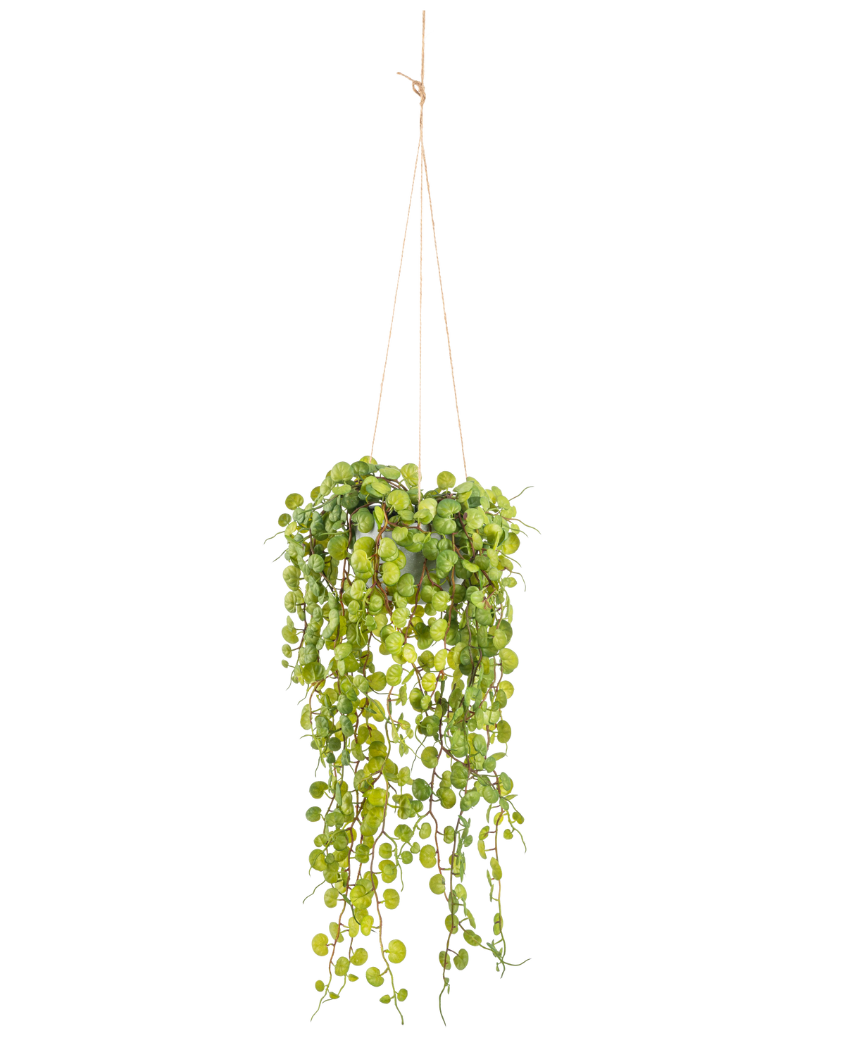 Die künstliche Hängepflanze Sukkulente 53 cm im Topf hat runde grüne Blätter, die aus einem Hängetopf hervorragen und von dünnen braunen Schnüren vor einem schlichten weißen Hintergrund gehalten werden.