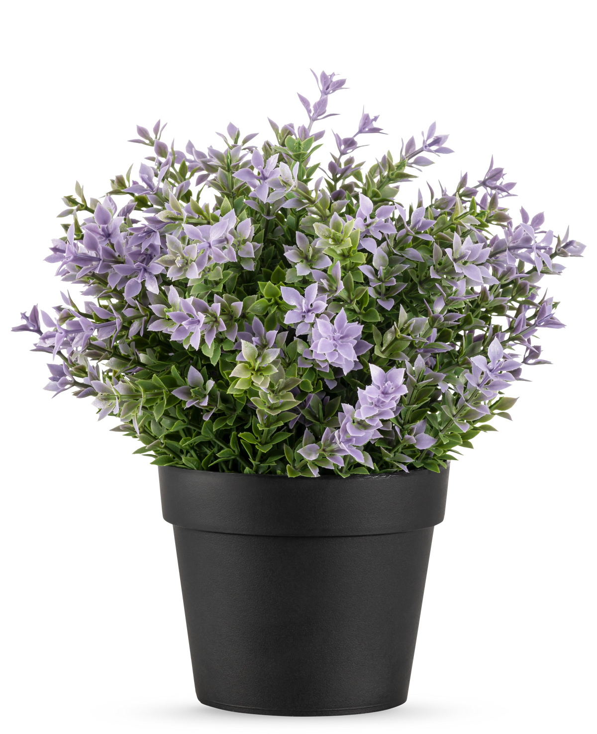 Die Kunstpflanze Buxus lila UV 22 cm hat einen schwarzen Blumentopf mit einer üppigen Kunstpflanze mit kleinen hellvioletten Blüten und grünen Blättern vor einem schlichten weißen Hintergrund.