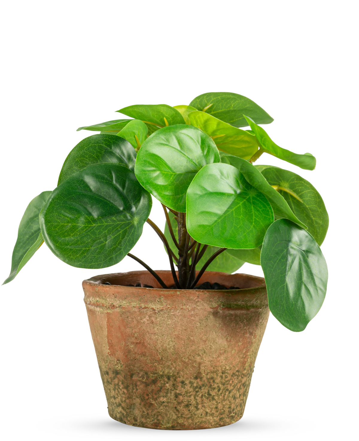 Die Kunstpflanze Pilea im Topf Mini UV 15 cm hat runde, glänzend grüne Blätter in einem verwitterten braunen Terrakottatopf vor einem schlichten weißen Hintergrund.