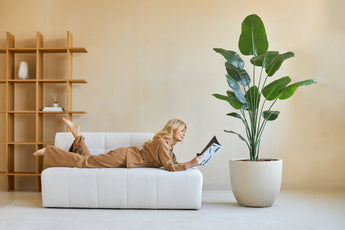 Eine Frau in brauner Loungewear liest eine Zeitschrift auf einer weißen Couch. Hinter ihr bringt die künstliche Strelitzia 180 cm Real Touch-Pflanze üppiges Grün in die moderne, minimalistische Einrichtung.