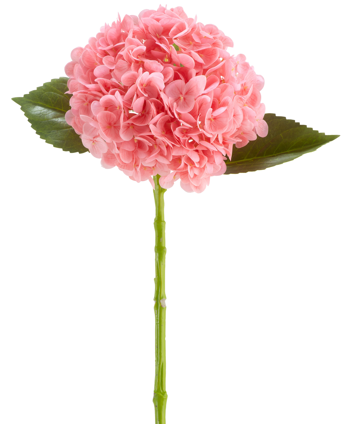 Die künstliche Blume Charlotte Hydrangea Real Touch dunkelrosa ist eine künstliche Hortensienblüte von 55 cm Länge mit einer runden Gruppe dunkelrosa Blütenblätter und grünen Blättern auf einem langen Stiel, isoliert auf weißem Hintergrund.
