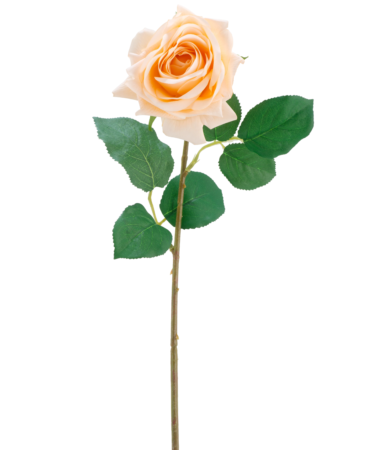 Die künstliche Blume Crystal Touch feuchtigkeitsspendende Rose Real Touch in Champagner ist eine einzelne künstliche Rose mit grünen Blättern auf einem 43 cm langen, schlanken Stiel, abgebildet vor einem schlichten weißen Hintergrund.