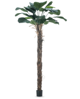 Eine künstliche Pflanze Licuala Grandis 220 cm künstliche Palme mit großen Blättern.