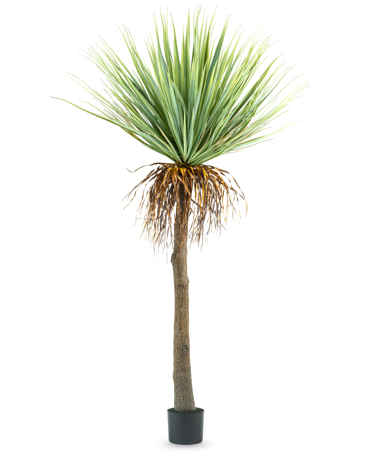 Die künstliche Yucca-Pflanze 153 cm hat einen hohen, rauen braunen Stamm mit grünen, stacheligen Blättern oben und einigen getrockneten Blättern unten, vor einem schlichten weißen Hintergrund.