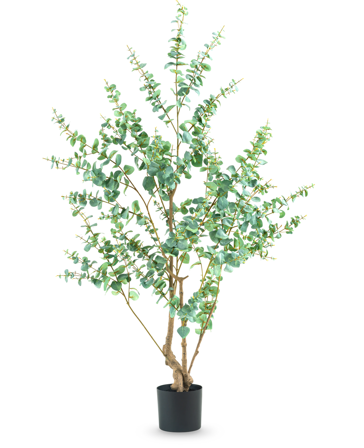 Die Kunstpflanze Eukalyptus 180 cm ist eine hohe Kunstpflanze mit schlanken Zweigen und runden grünen Blättern, die in einem schlichten schwarzen Topf vor einem weißen Hintergrund präsentiert wird.