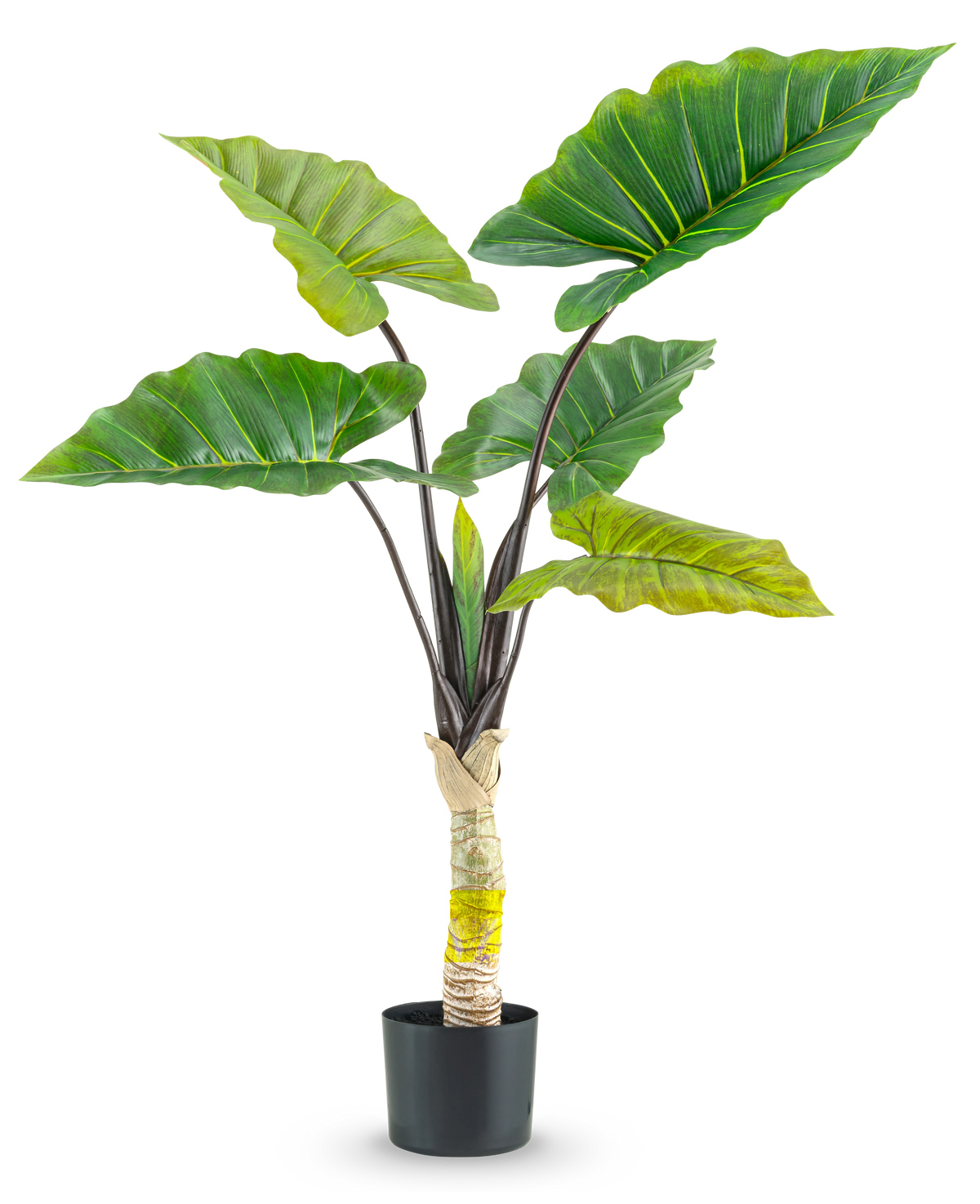 Die Kunstpflanze Calocasia 120 cm hat große, breite grüne Blätter und einen dicken Mittelstiel in einem hohen Topf vor einem schlichten weißen Hintergrund.