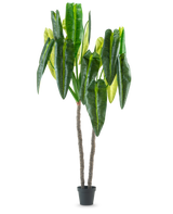 Die Kunstpflanze Anthurium 240 cm ist eine hohe Kunstpflanze im Topf mit zwei braunen Stielen und großen, länglichen grünen Blättern vor einem schlichten weißen Hintergrund.