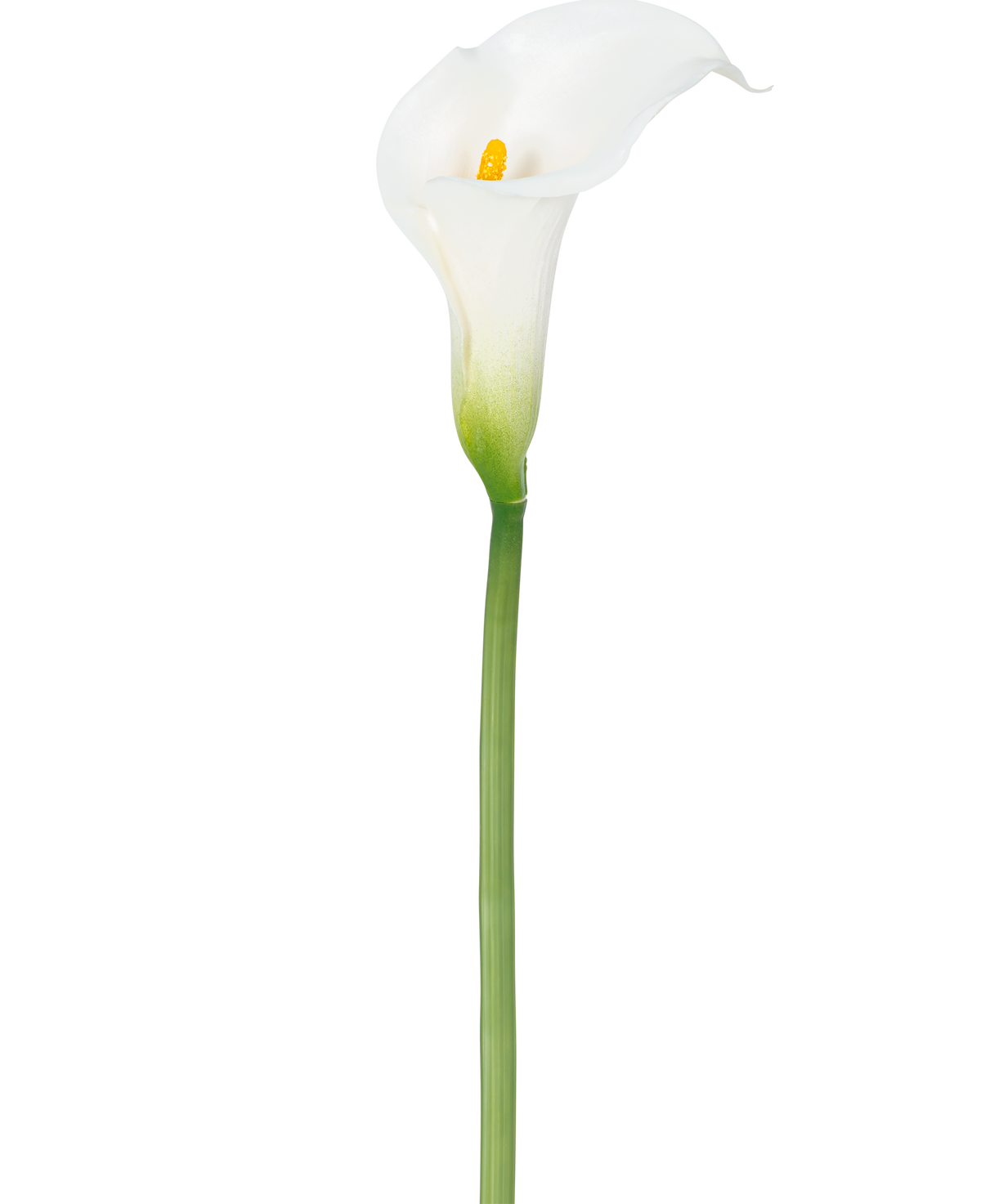 Eine künstliche Lilie 84 cm weiß mit gelbem Herz.