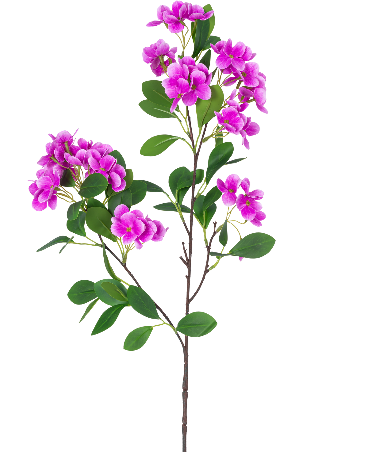 Der künstliche Blumen-Schneeball Real Touch Purple 80 cm verfügt über einen einzelnen Stiel mit mehreren Büscheln leuchtend lila Blüten und üppig grünen Blättern, die wunderschön vor einem weißen Hintergrund präsentiert werden.
