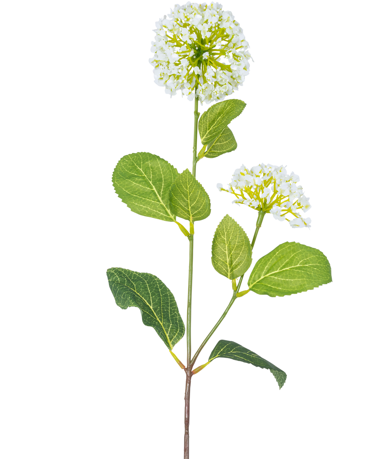 Der künstliche Blumenschneeball/Viburnum (70 cm) hat zwei Büschel kleiner weißer Blüten und mehrere grüne ovale Blätter an einem Stiel vor einem weißen Hintergrund.