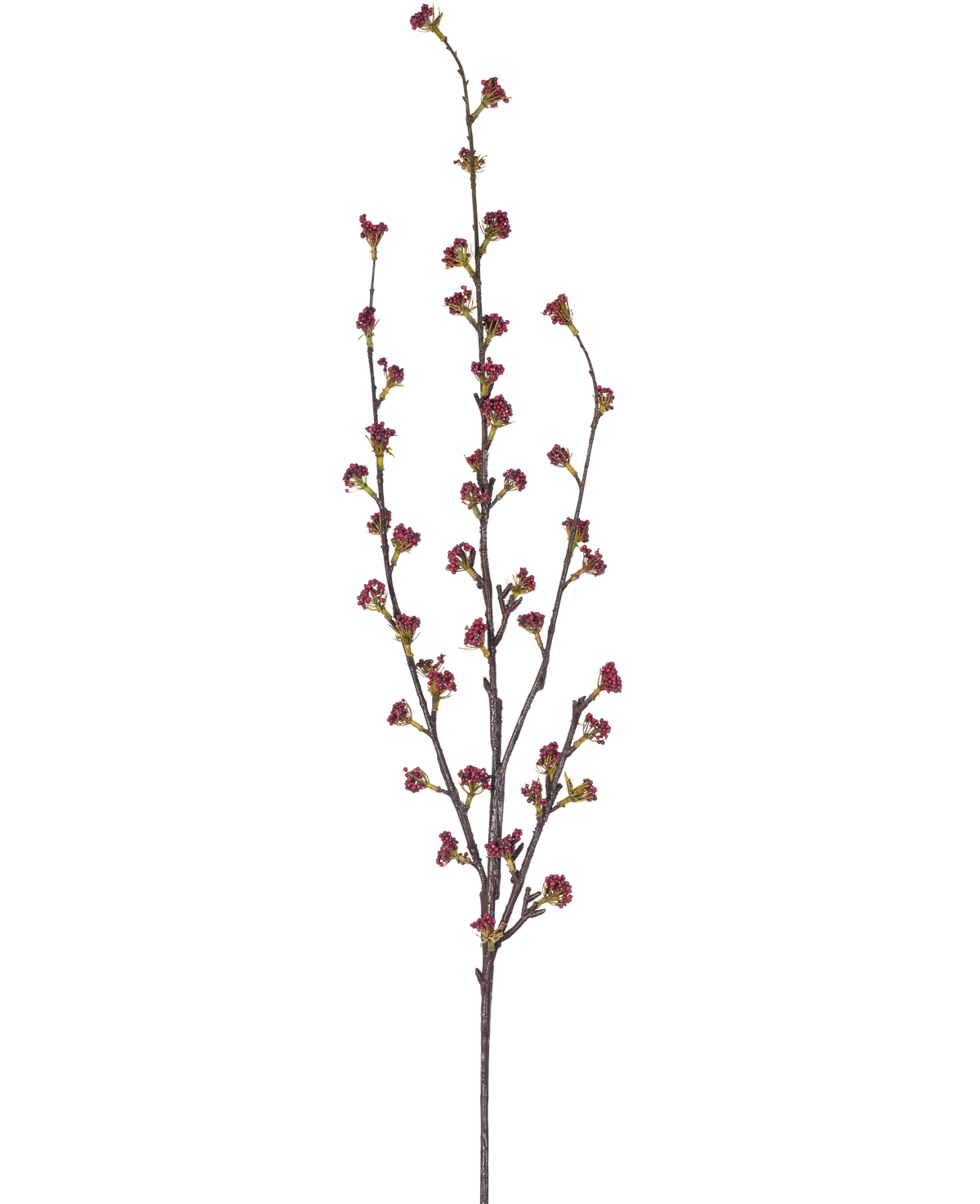 Der künstliche Zweig Callicarpa 104 cm lila hat schlanke Zweige mit mehreren dünnen Stielen, die jeweils mit kleinen Büscheln tiefvioletter Knospen vor einem schlichten weißen Hintergrund verziert sind.