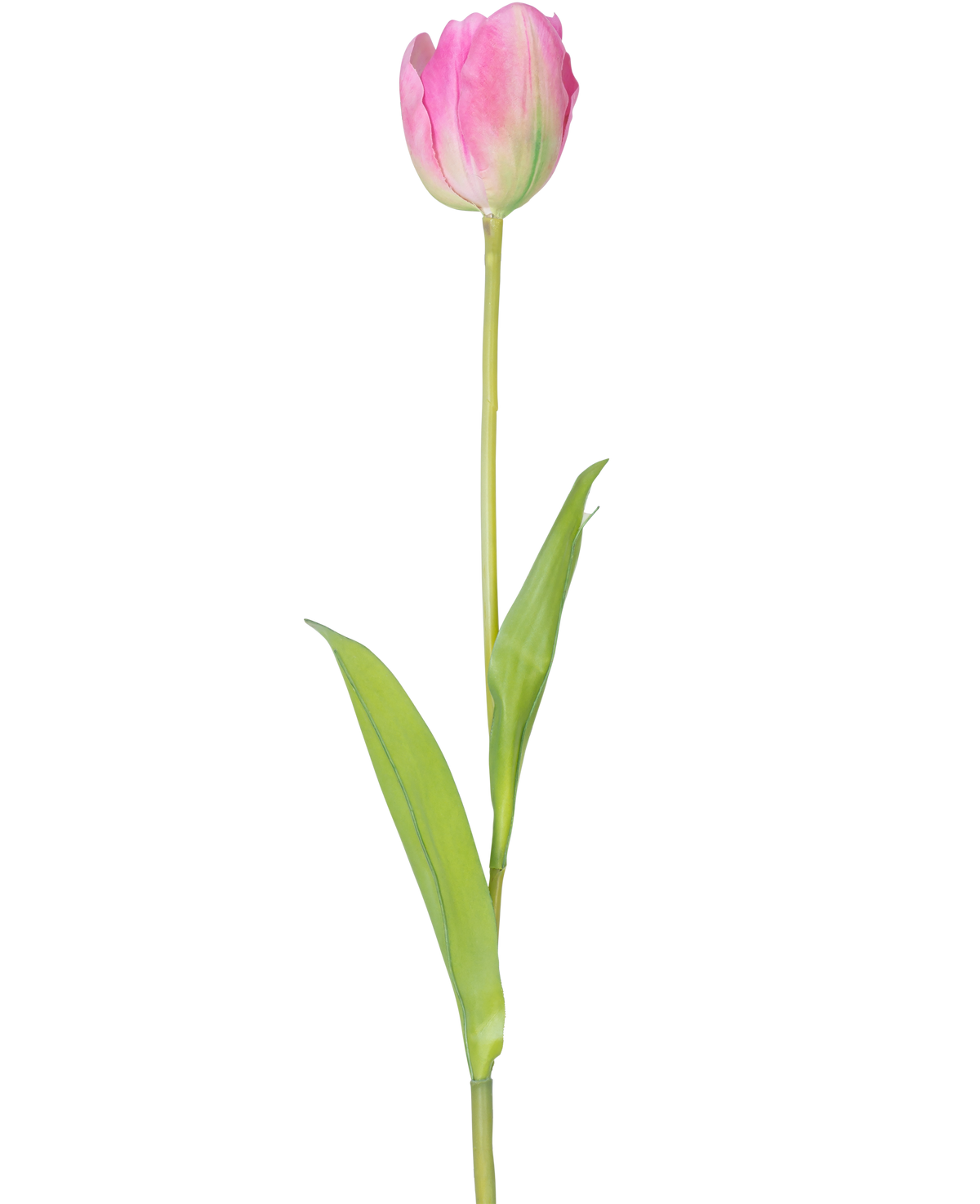 Eine einzelne künstliche französische Tulpe, 63 cm, rosa, mit einem langen grünen Stiel und zwei grünen Blättern, isoliert auf weißem Hintergrund.