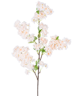 Ein einzelner künstlicher Kirschblütenzweig, 100 cm, weiß/rosa, mit Büscheln hellrosa und weißer Kirschblüten mit grünen Blättern, isoliert auf weißem Hintergrund.