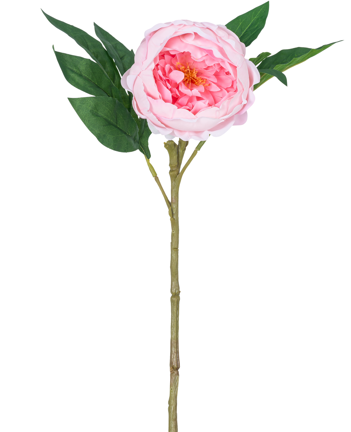 Die künstliche Pfingstrose Real Touch Pink 58 cm ist eine künstliche rosa Pfingstrose mit geschichteten Blütenblättern, einem gelben Herzen, grünen Blättern und einem langen braunen Stiel, dargestellt vor einem schlichten weißen Hintergrund.