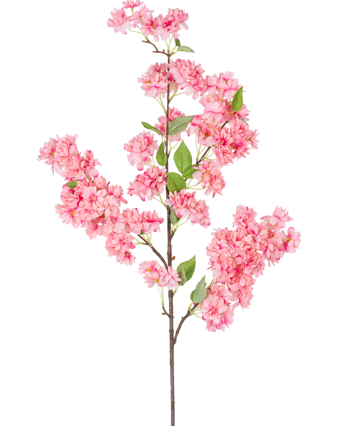 Die künstliche Kirschblüte 100 cm rosa ist ein einzelner künstlicher Kirschblütenzweig mit Büscheln leuchtend rosa Blüten und grünen Blättern, perfekt für den dekorativen Gebrauch.