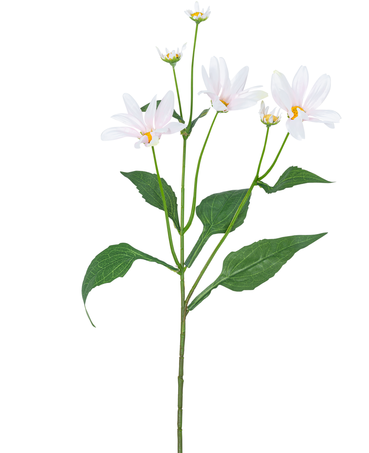 Die künstliche Blume Madelief 76 cm weiß hat einen einzelnen grünen Stiel mit mehreren großen Blättern und fünf gänseblümchenähnlichen weißen Blüten mit einem gelben Herzen auf einem schlichten weißen Hintergrund.
