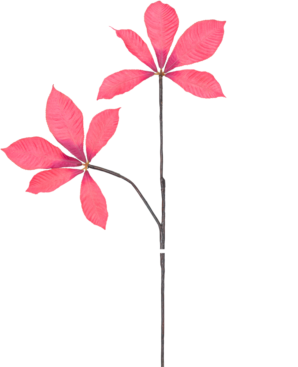 Eine digitale Illustration von Kunsttak Chestnut Leaf 63 cm rot zeigt zwei lange, dünne Stiele mit Büscheln aus fünf leuchtend rosa Blättern vor einem schlichten weißen Hintergrund.