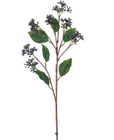 Die japanische Kunsttak-Beere (63 cm) hat Büschel kleiner stahlblauer Beeren und einzelne grüne Blätter an dünnen braunen Stielen vor einem schlichten weißen Hintergrund.