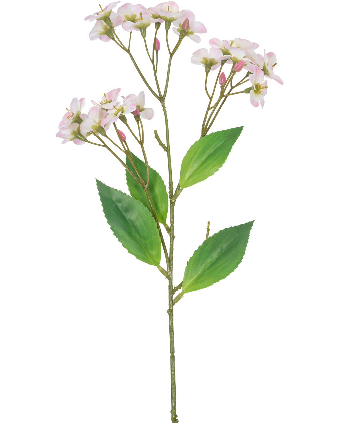 Eine künstliche Blumenorchidee „Real Touch Pink“ von 50 cm mit mehreren Büscheln hellrosa Blüten und grünen Blättern, isoliert auf weißem Hintergrund.