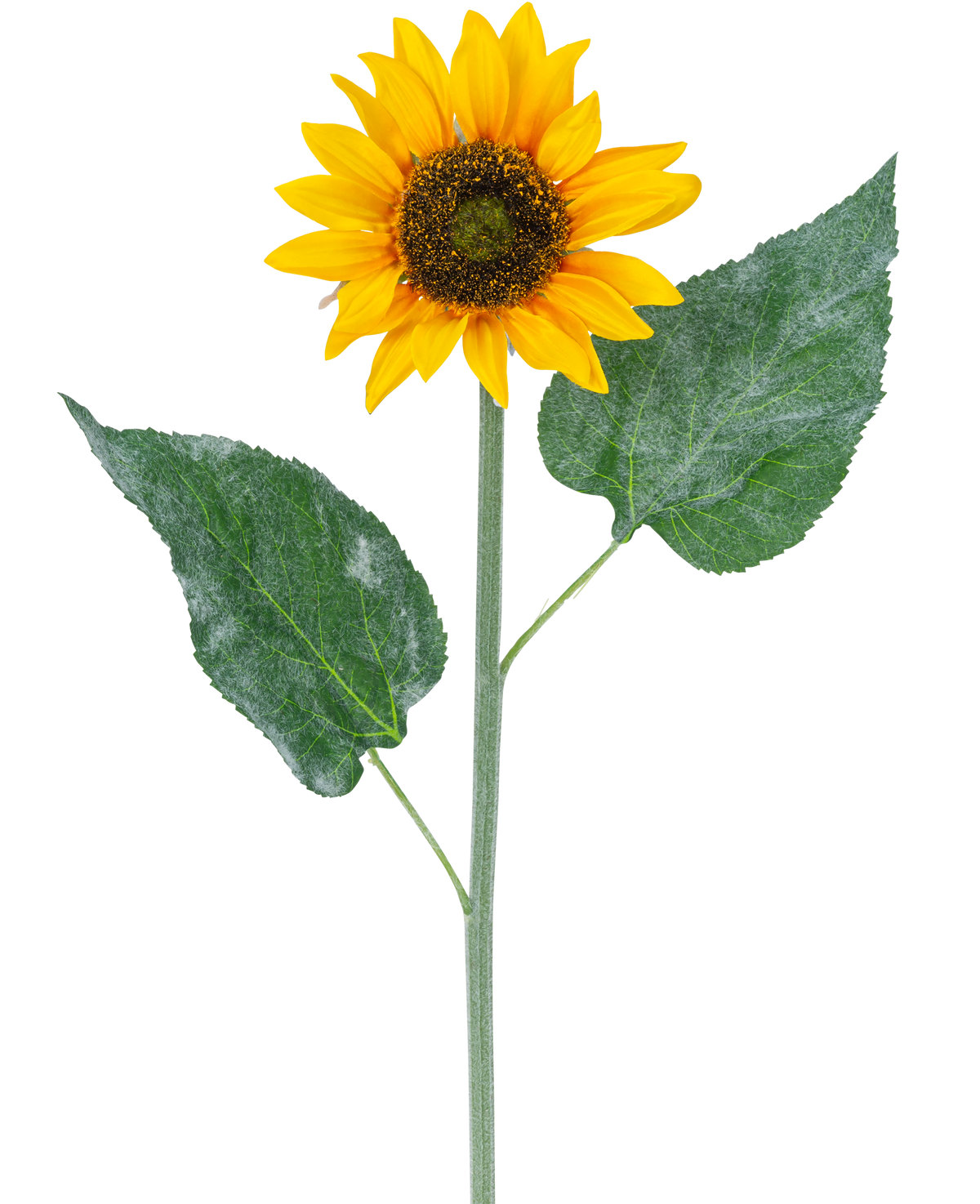Die künstliche Sonnenblume 52 cm gelb ist eine einzelne künstliche Sonnenblume mit leuchtend gelben Blütenblättern, einem dunkelbraunen Herzen und zwei großen grünen Blättern an einem langen grünen Stiel, isoliert auf weißem Hintergrund.