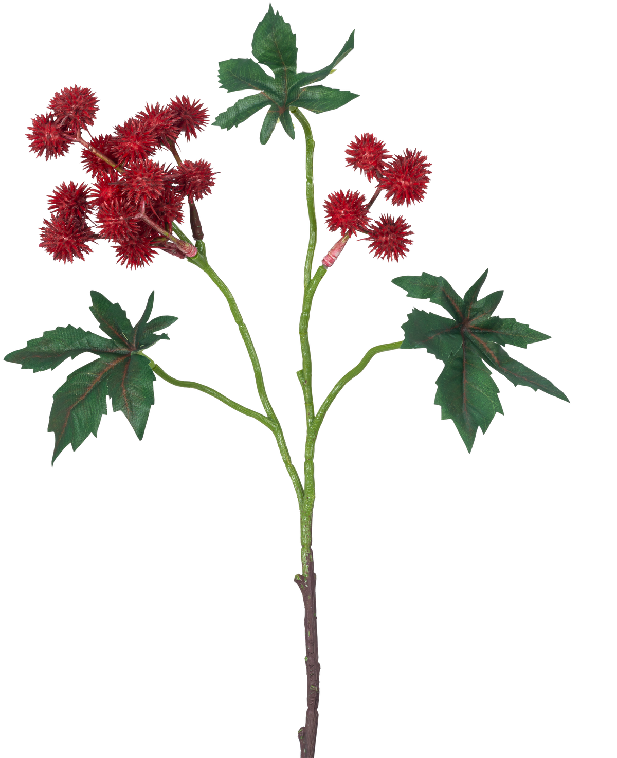 Der künstliche Zweig Ricinus 43 cm weinrot hat einen Zweig einer Rizinuspflanze mit stacheligen weinroten Samenkapseln und großen, grünen, sternförmigen Blättern auf weißem Hintergrund.
