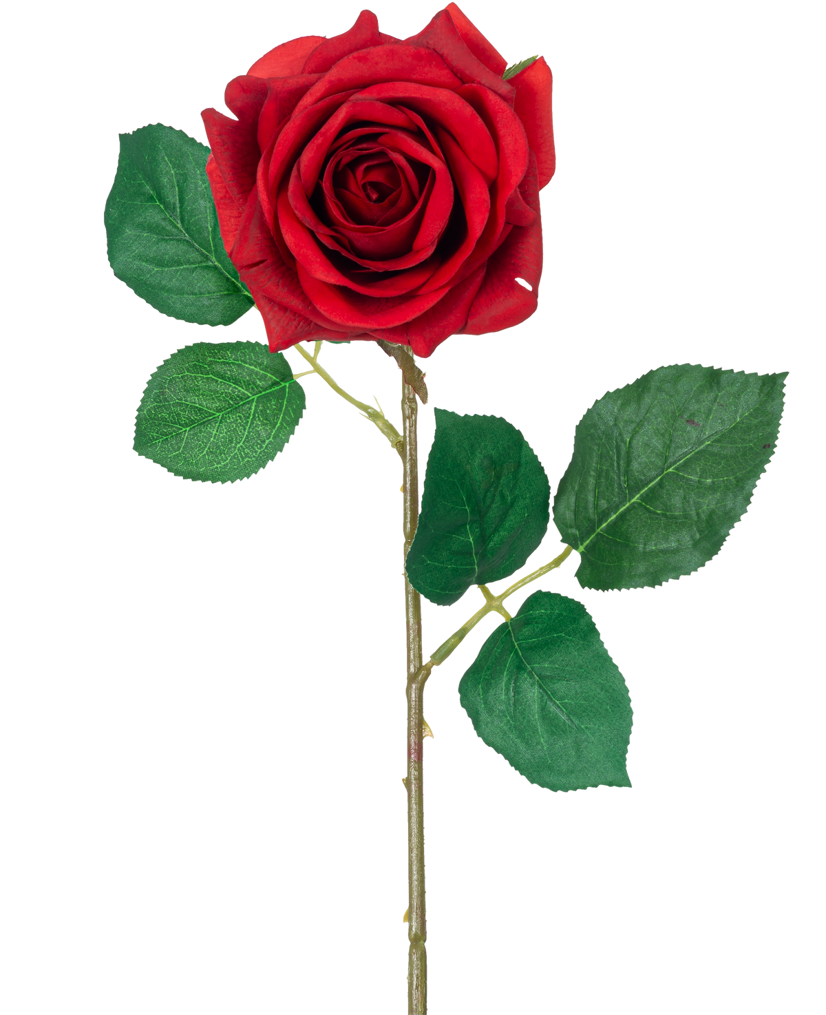 Die künstliche Rose „Emine“ Real Touch Red 43 cm hat eine einzelne rote Rose mit leuchtend grünen Blättern an einem langen Stiel vor einem schlichten weißen Hintergrund.