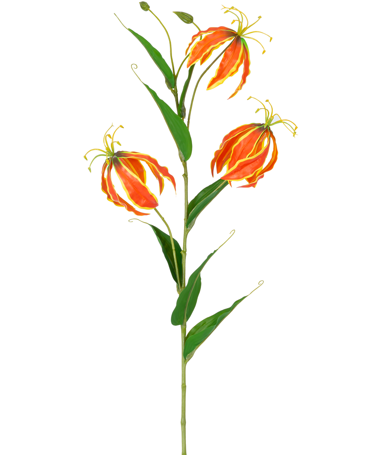 Die Kunstblume Gloriosa Real Touch Orange 75 cm hat einen hohen grünen Stiel mit drei großen orangefarbenen und gelben Lilien und langen, schlanken grünen Blättern, die wunderschön auf einem weißen Hintergrund zur Geltung kommen.