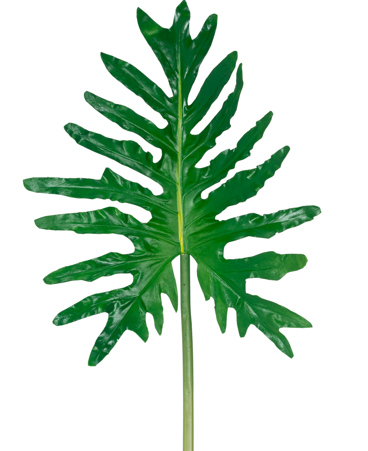Der Kunstblatt-Philodendron 90 cm hat ein großes grünes, gespaltenes Blatt mit tiefen Lappen und einem langen Stiel vor einem schlichten weißen Hintergrund.