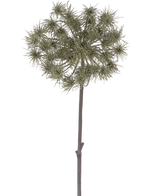 Die künstliche Blume Bärenklau 100 cm ist ein einzelner künstlicher Stiel mit Büscheln dünner, grüngrauer Blütenköpfe, die aufrecht vor einem schlichten weißen Hintergrund stehen.