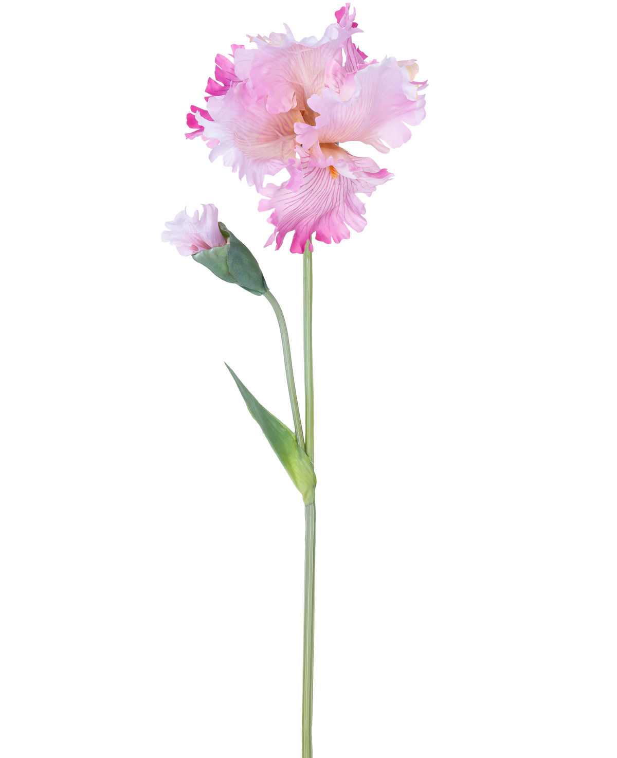 Die künstliche Blumeniris 80 cm rosa hat einen einzelnen rosa Irisstiel mit Rüschen in den Blütenblättern und einer geschlossenen Knospe vor einem schlichten weißen Hintergrund.
