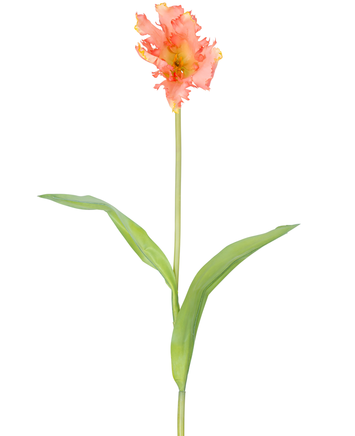 Eine einzelne künstliche Blume, französische Sittich-Tulpe, 76 cm, Koralle mit Rüschen aus rosa und gelben Blütenblättern und zwei langen grünen Blättern auf einem langen Stiel, vor einem schlichten weißen Hintergrund.