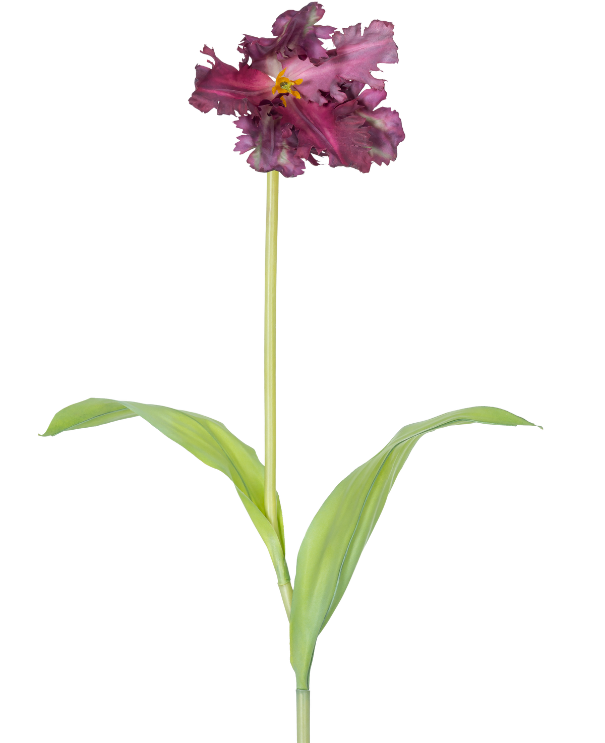 Die künstliche französische Sittich-Tulpe 76 cm lila ist eine einzelne künstliche lila Tulpe mit Rüschen in den Blütenblättern und zwei länglichen grünen Blättern an einem langen Stiel vor einem schlichten weißen Hintergrund.