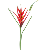 Die künstliche Blume Heliconia 90 cm rot besteht aus einer einzelnen künstlichen Heliconia-Blume mit leuchtend roten und gelben Hochblättern auf einem langen grünen Stiel, komplett mit schlanken Blättern, perfekt für die Präsentation vor einem weißen Hintergrund.