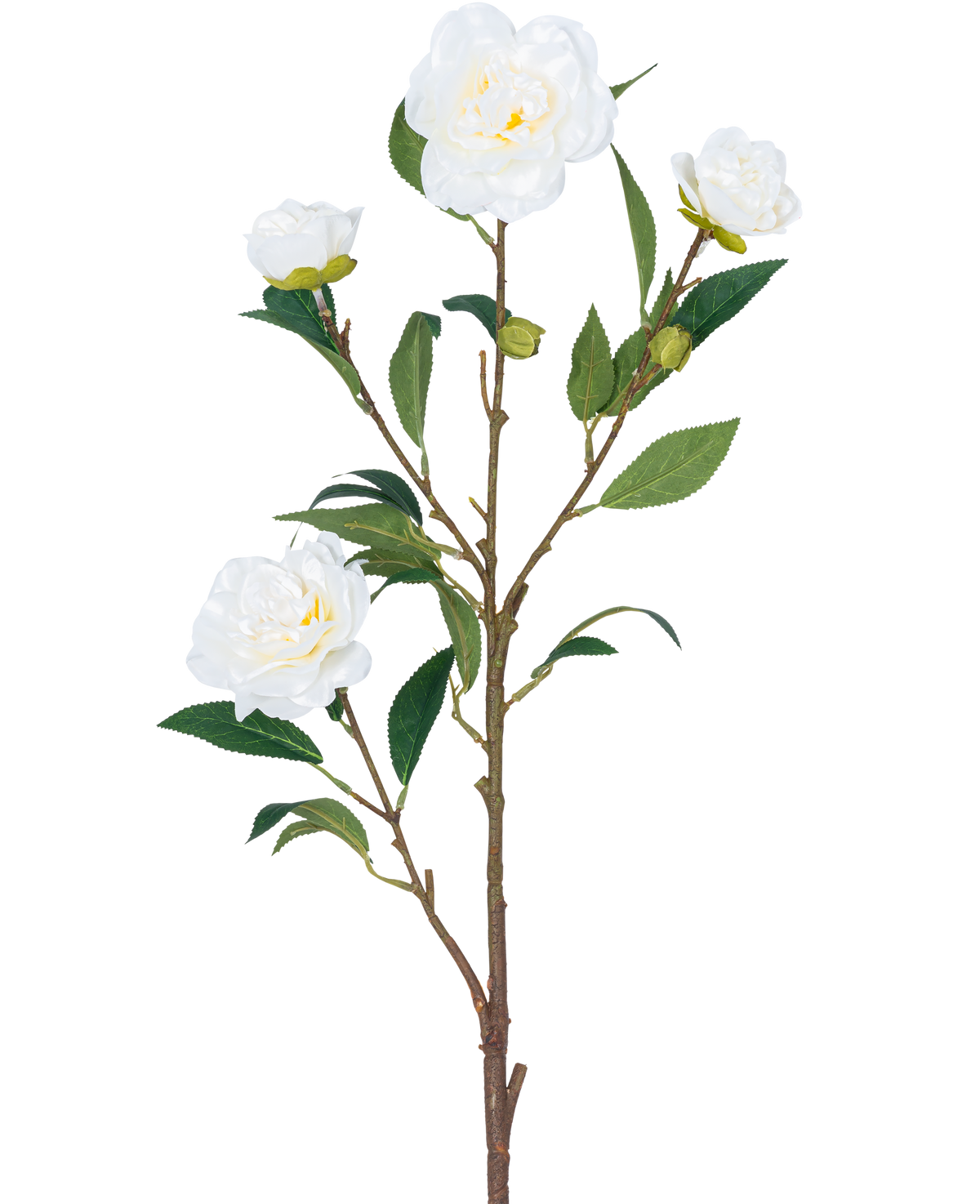 Die künstliche Blumenkamelie 80 cm weiß hat einen einzelnen braunen Stiel mit mehreren grünen Blättern und mehreren weißen Kamelienblüten, einige blühen und andere in Knospenform, alle vor einem schlichten weißen Hintergrund.
