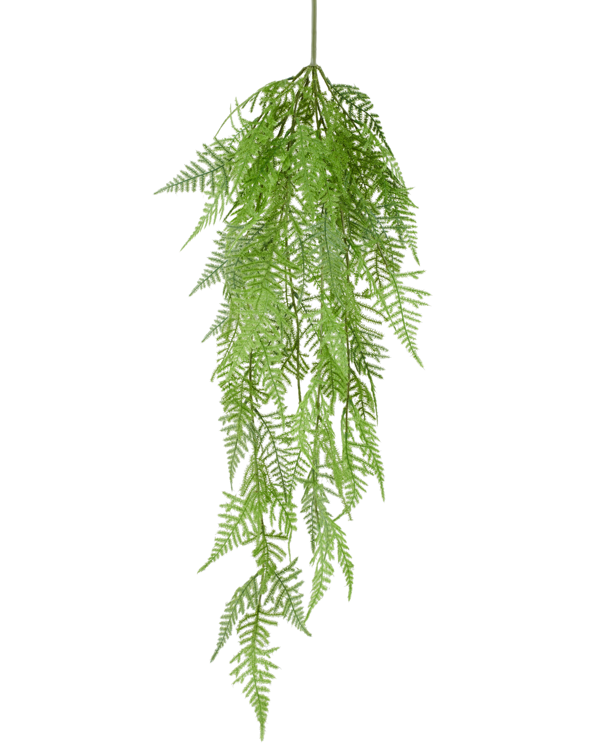 Die künstliche Hängepflanze Spargelfarn 84 cm hat zarte, federleichte grüne Blätter und detaillierte Muster, die anmutig vor einem schlichten weißen Hintergrund herabhängen.