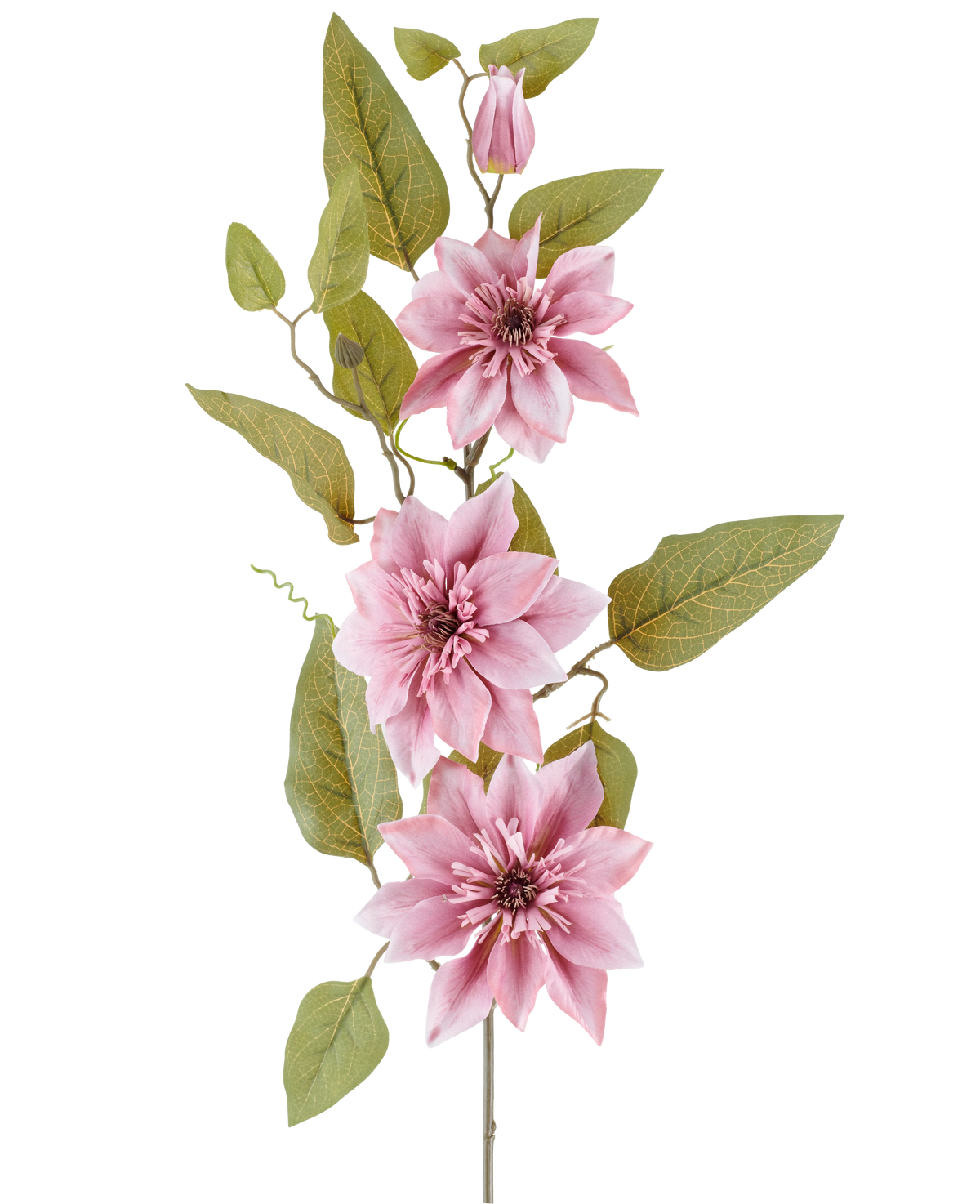Ein Stiel der Kunstblume Clematis 81 cm altrosa, mit drei altrosa Clematisblüten, einer geschlossenen rosa Knospe und mehreren grünen Blättern, vor einem weißen Hintergrund.